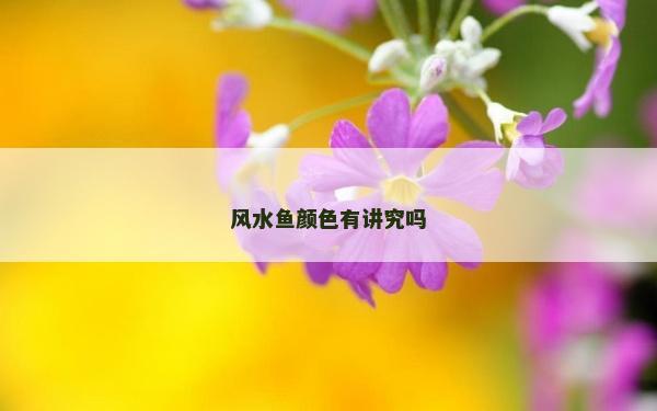 风水鱼颜色有讲究吗