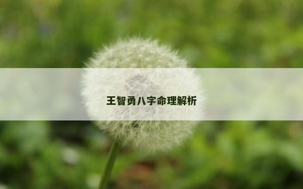 王智勇八字命理解析