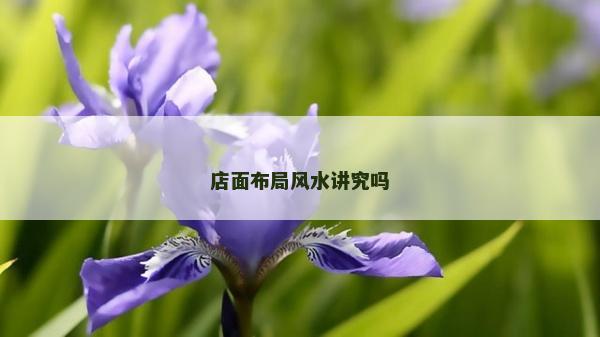 店面布局风水讲究吗