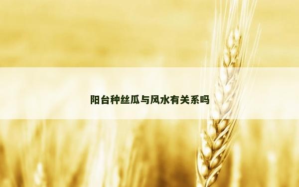 阳台种丝瓜与风水有关系吗