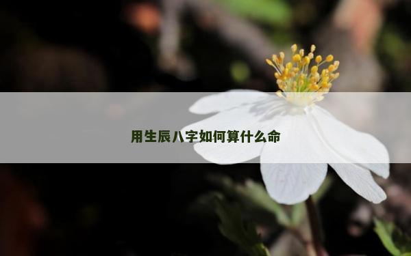 用生辰八字如何算什么命