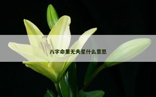 八字命里无夫星什么意思