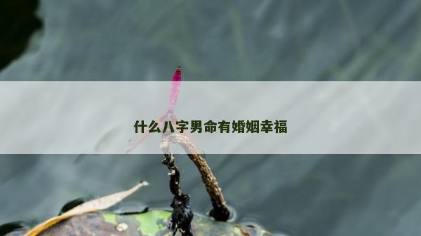 什么八字男命有婚姻幸福