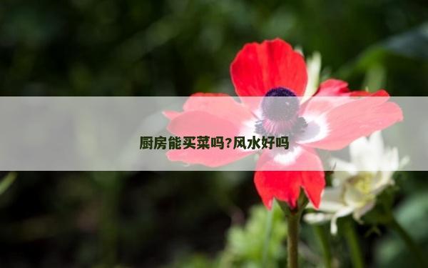 厨房能买菜吗?风水好吗