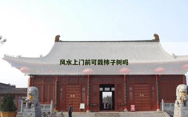 风水上门前可栽柿子树吗
