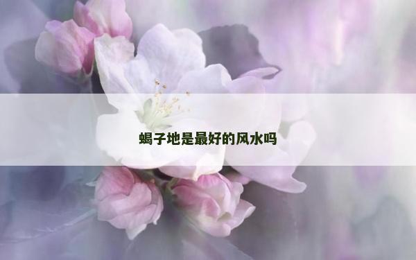 蝎子地是最好的风水吗