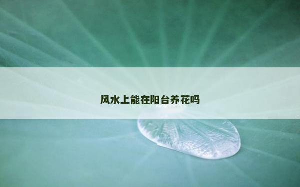 风水上能在阳台养花吗