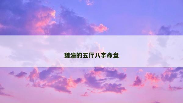 魏潼的五行八字命盘
