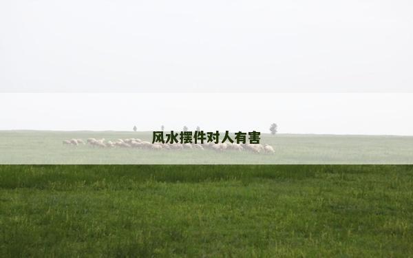 风水摆件对人有害