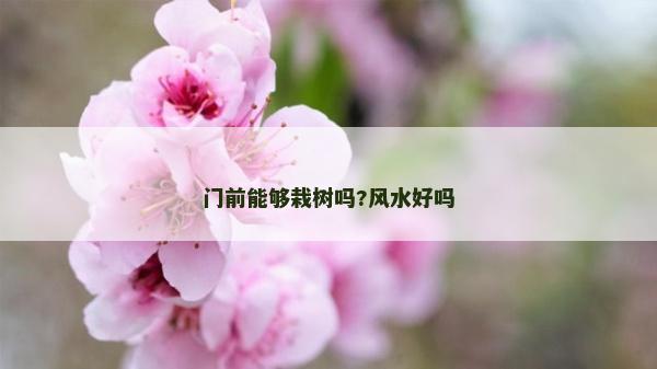 门前能够栽树吗?风水好吗
