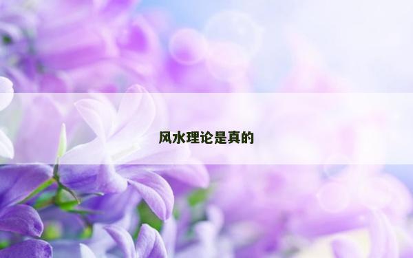 风水理论是真的