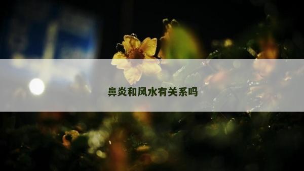 鼻炎和风水有关系吗