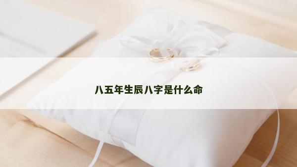 八五年生辰八字是什么命