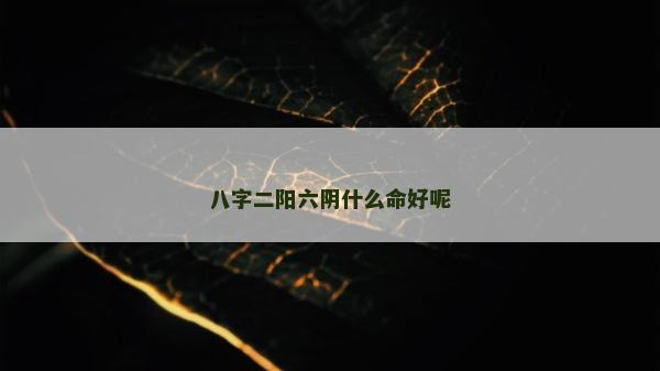 八字二阳六阴什么命好呢