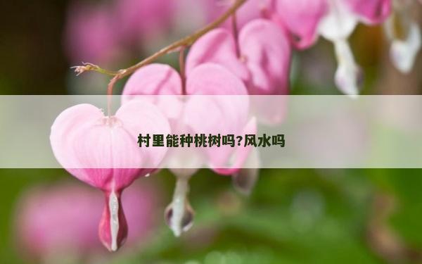 村里能种桃树吗?风水吗