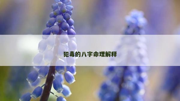 犯毒的八字命理解释