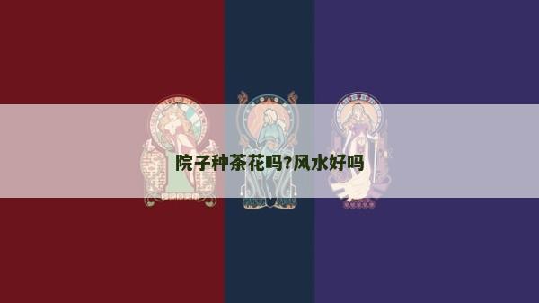 院子种茶花吗?风水好吗