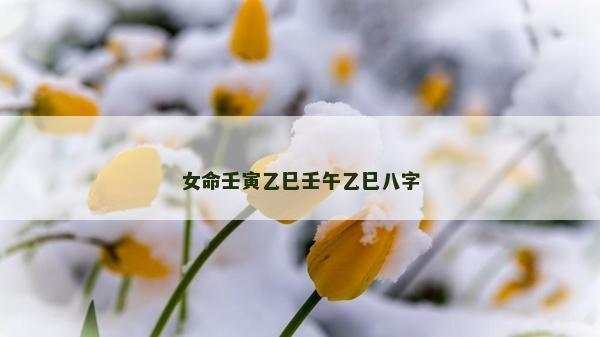 女命壬寅乙巳壬午乙巳八字