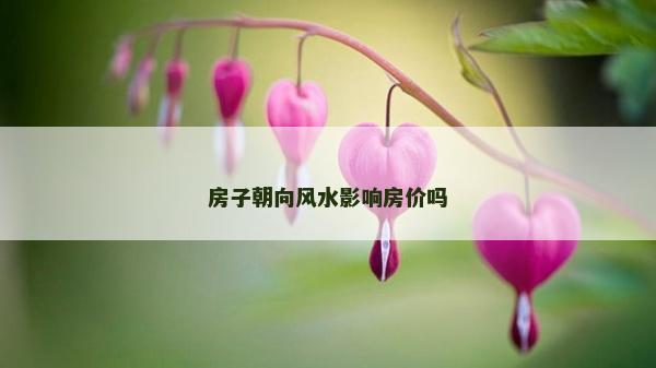 房子朝向风水影响房价吗