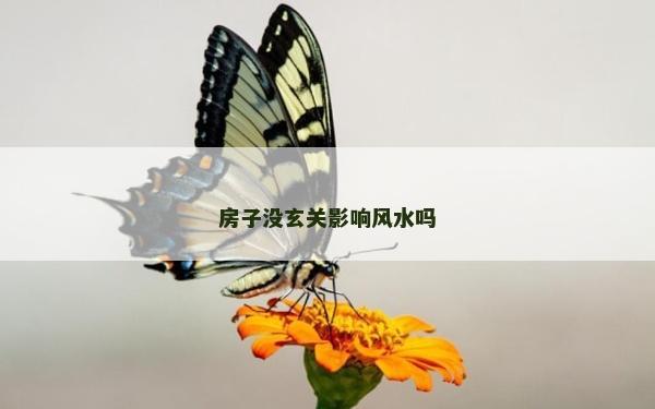 房子没玄关影响风水吗