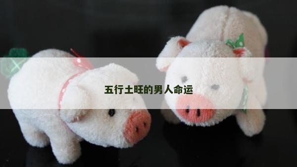 五行土旺的男人命运