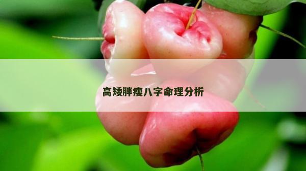 高矮胖瘦八字命理分析