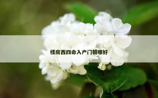 楼房西四命入户门朝哪好