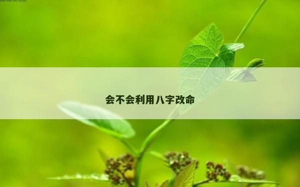 会不会利用八字改命