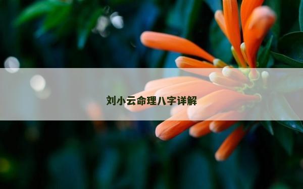 刘小云命理八字详解
