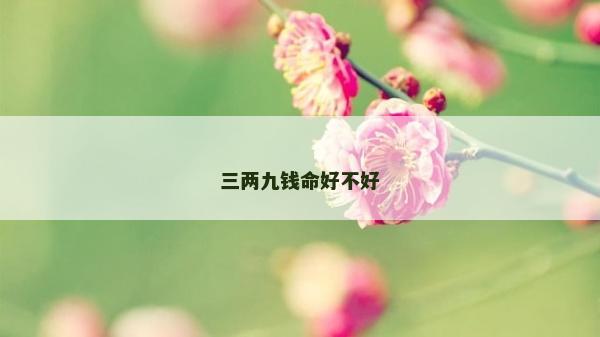 三两九钱命好不好