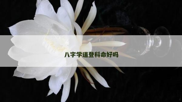 八字学道登科命好吗