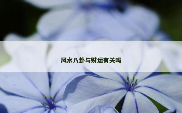 风水八卦与财运有关吗