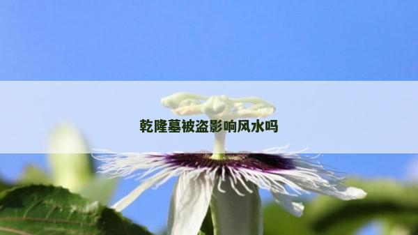 乾隆墓被盗影响风水吗