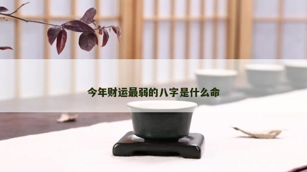 今年财运最弱的八字是什么命