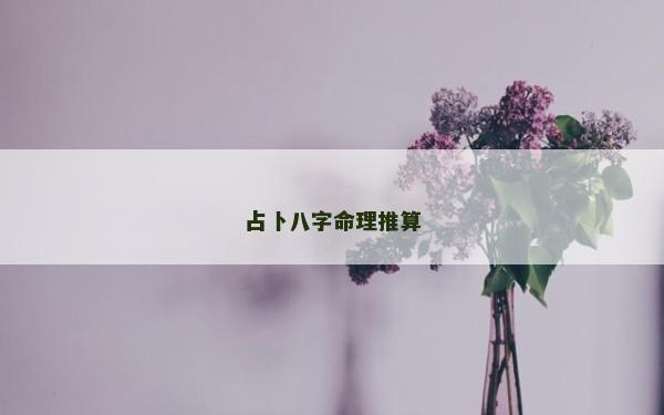 占卜八字命理推算