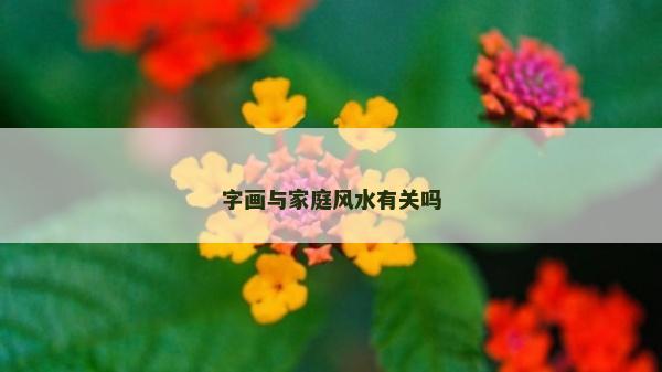 字画与家庭风水有关吗