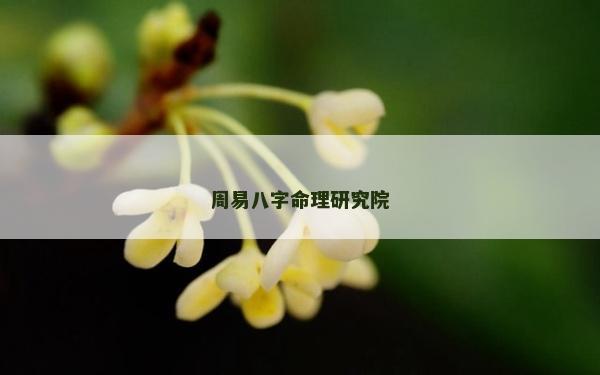 周易八字命理研究院