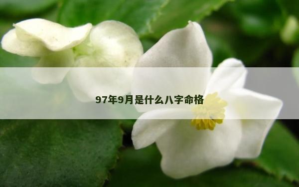 97年9月是什么八字命格