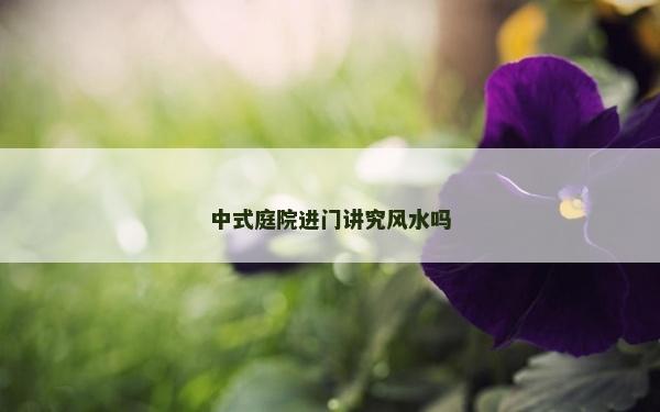 中式庭院进门讲究风水吗