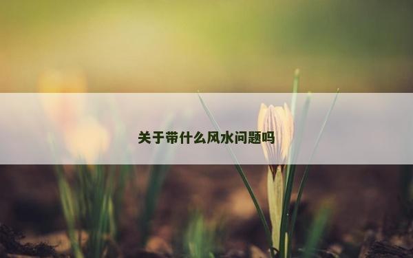 关于带什么风水问题吗