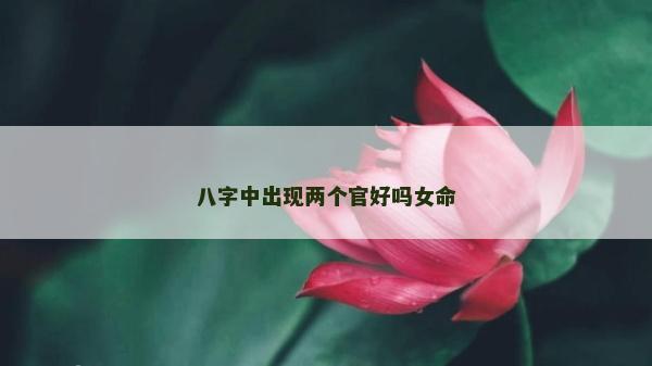 八字中出现两个官好吗女命