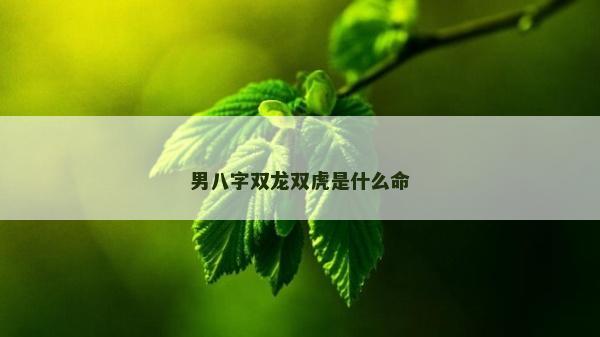 男八字双龙双虎是什么命