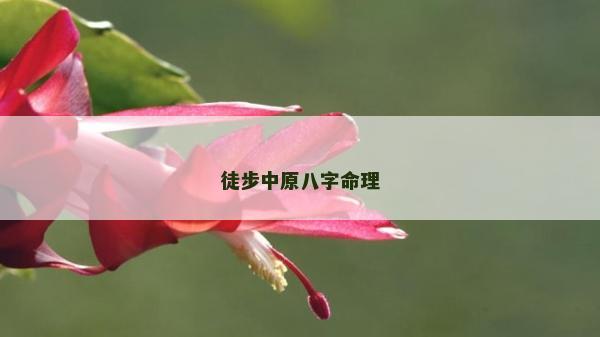 徒步中原八字命理
