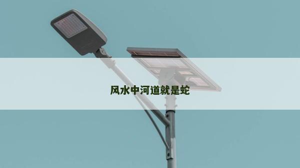 风水中河道就是蛇