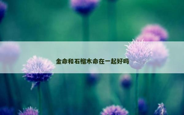 金命和石榴木命在一起好吗