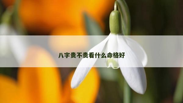 八字贵不贵看什么命格好