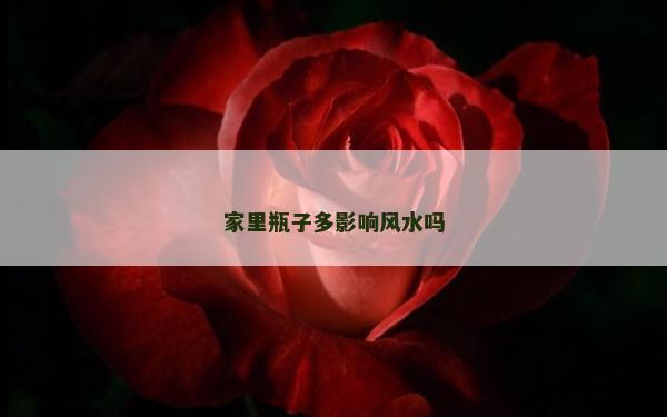 家里瓶子多影响风水吗