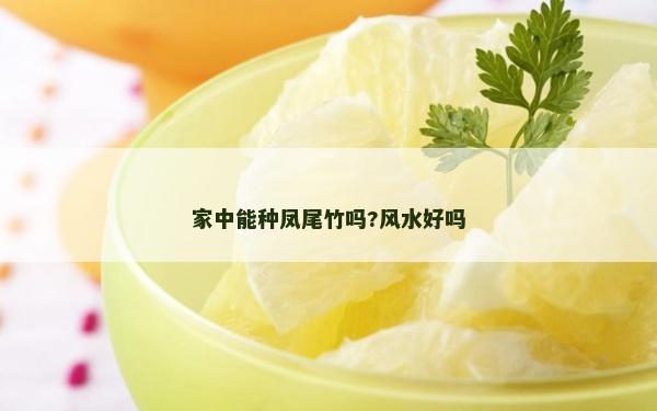 家中能种凤尾竹吗?风水好吗