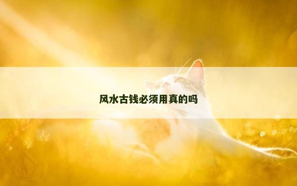 风水古钱必须用真的吗