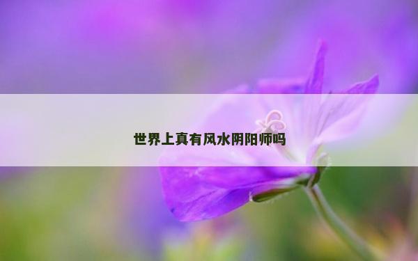 世界上真有风水阴阳师吗
